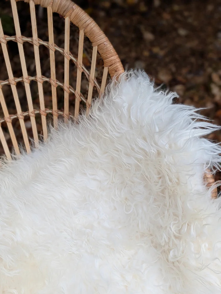 A plush natural white icelandic sheepskin throw with long wool draped over a woven wicker chair