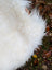 A plush natural white icelandic sheepskin throw with long wool and a soft voluminous texture