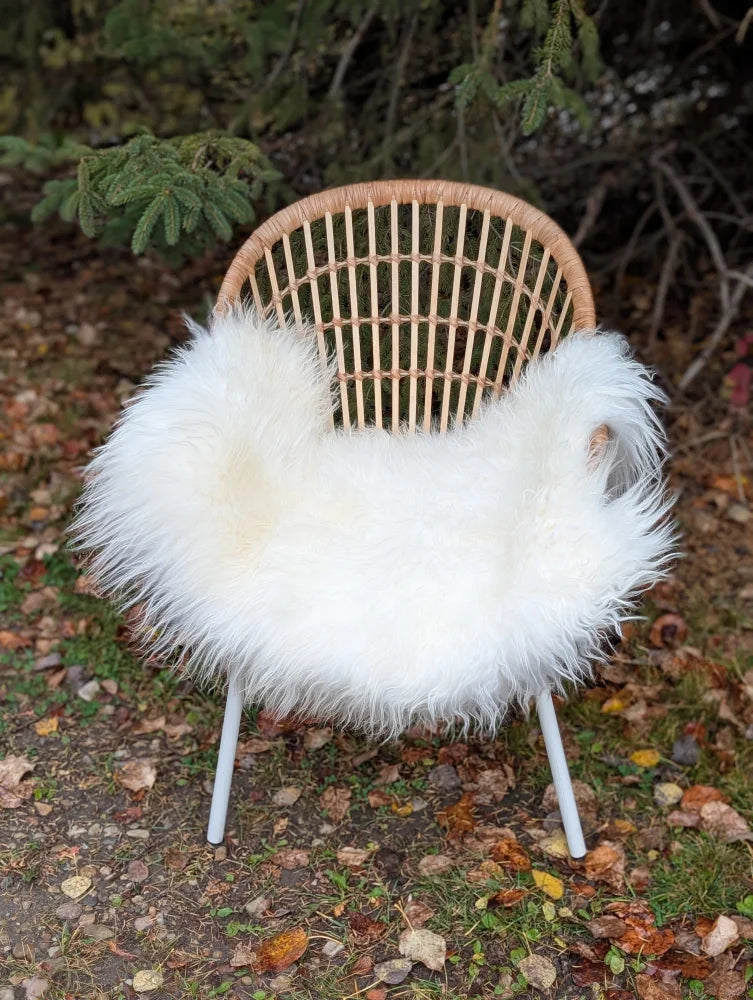 Large long wool natural white icelandic sheepskin throw draped over woven wicker chair with white metal legs