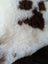 White and brown tibet highland spotted grade a- sheepskin rug with curly fur and paw print design