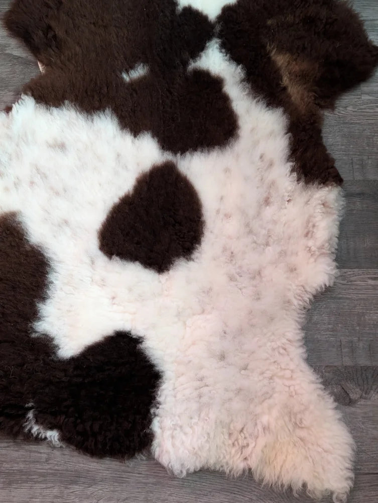 A plush grade b sheepskin rug featuring a highland spotted natural white and dark brown cowhide pattern