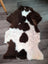 Brown and white highland spotted sheepskin rug with fluffy natural fur texture grade b sheepskins