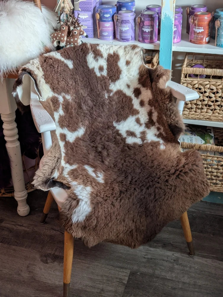 Brown and white tibet highland spotted grade a- sheepskin rug draped over a chair for cozy decor