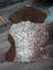 Brown and white tibet highland spotted grade a- sheepskin rug with a natural fluffy texture