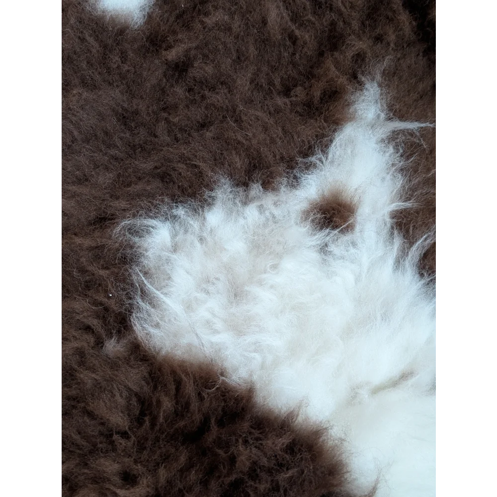 A plush tibet highland spotted grade a- sheepskin rug with rich brown base and soft white patches