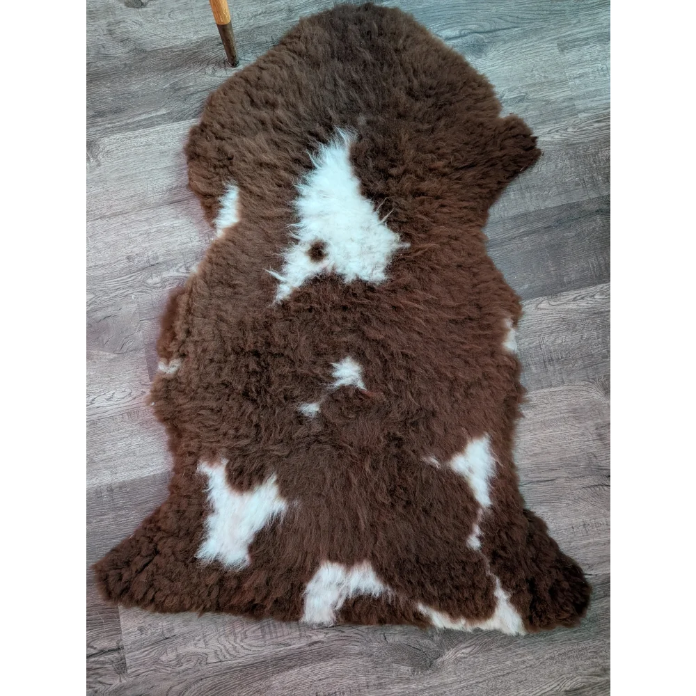 Brown and white tibet highland spotted grade a- sheepskin rug with plush curly texture perfect for cozy decor