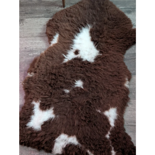 Brown and white plush shaggy tibet highland spotted sheepskin rug grade a- with a soft texture