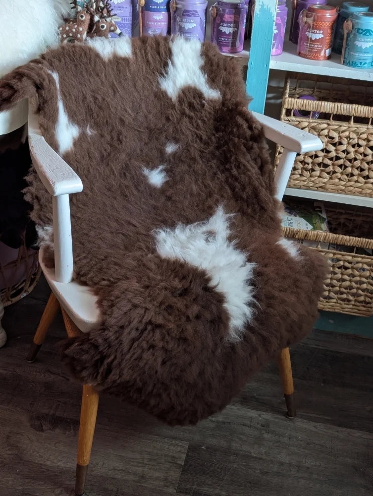 Brown and white tibet highland spotted sheepskin grade a- fur throw draped over a white wooden chair with light wood legs
