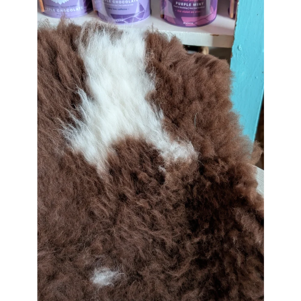 A plush curly brown and white tibet highland spotted grade a- sheepskin rug with soft fluffy texture