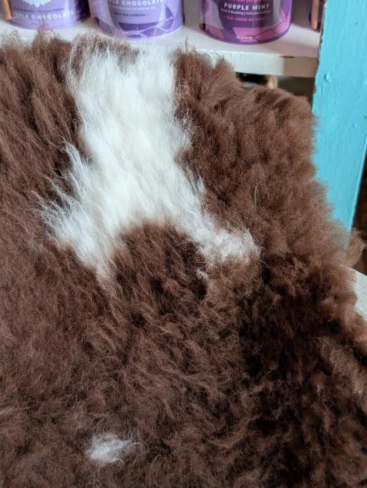 A plush curly brown and white tibet highland spotted grade a- sheepskin rug with soft fluffy texture