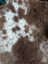 Brown and white soft fluffy tibet highland spotted sheepskin blanket grade a- with highland spotted texture