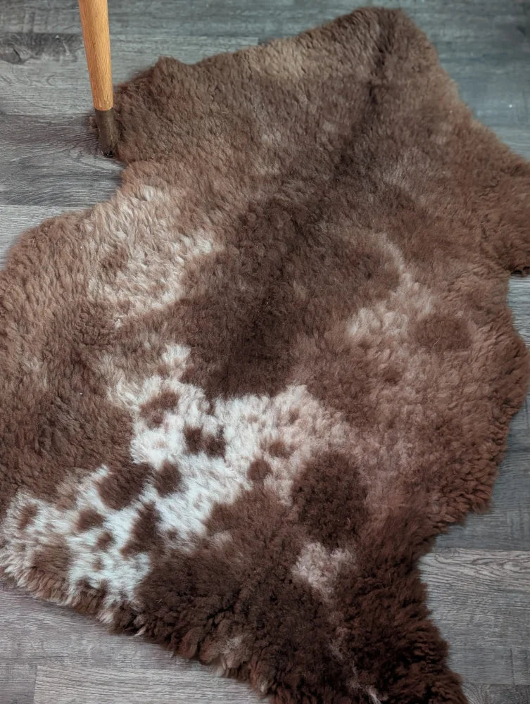 A plush tibet highland spotted grade a- sheepskin rug in brown and white with a natural fluffy texture