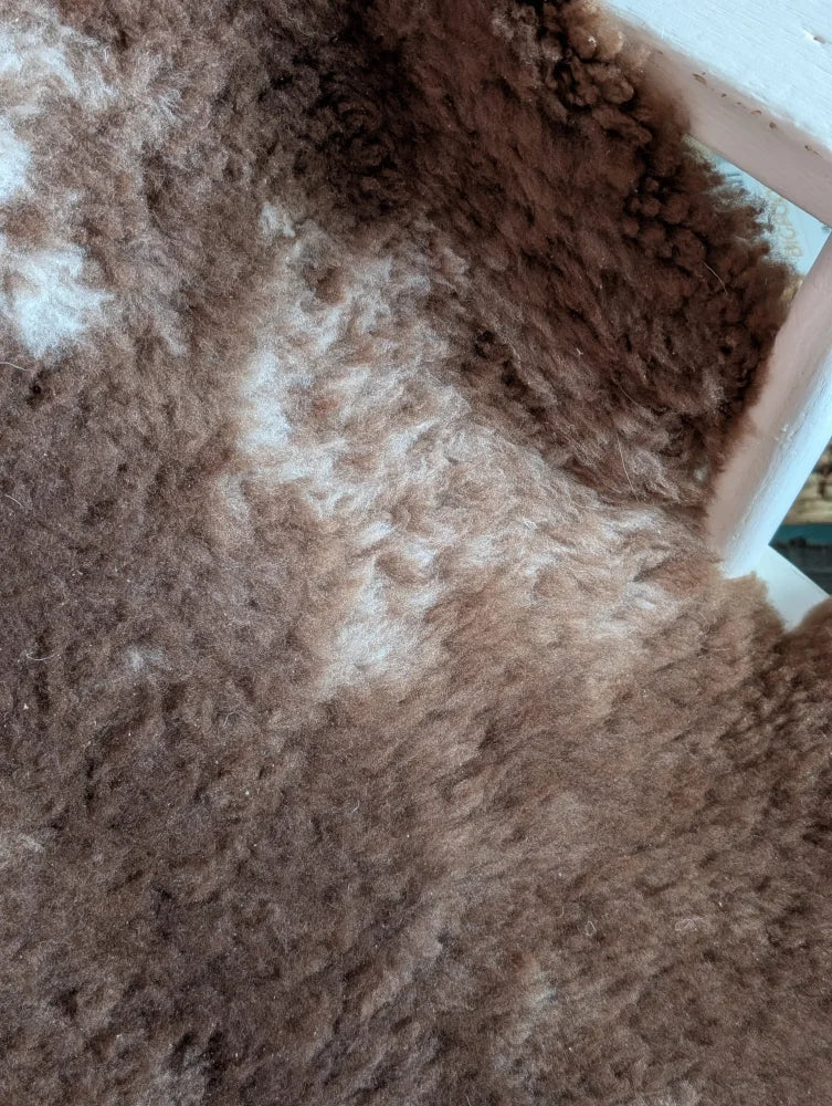 A plush brown and white tibet highland spotted grade a- sheepskin rug with soft curly texture