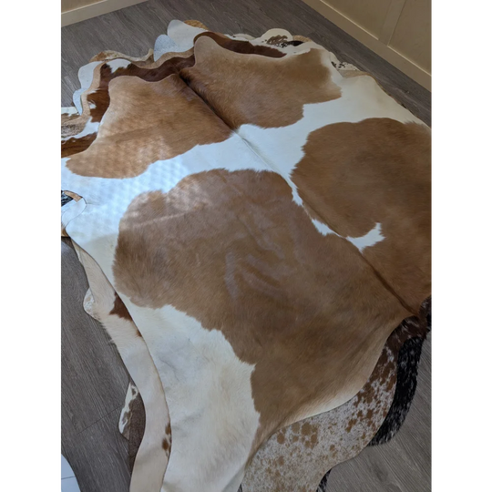 Large brown and white cowhide rug with natural irregular edges perfect for beautiful rugs and extra large cowhide decor