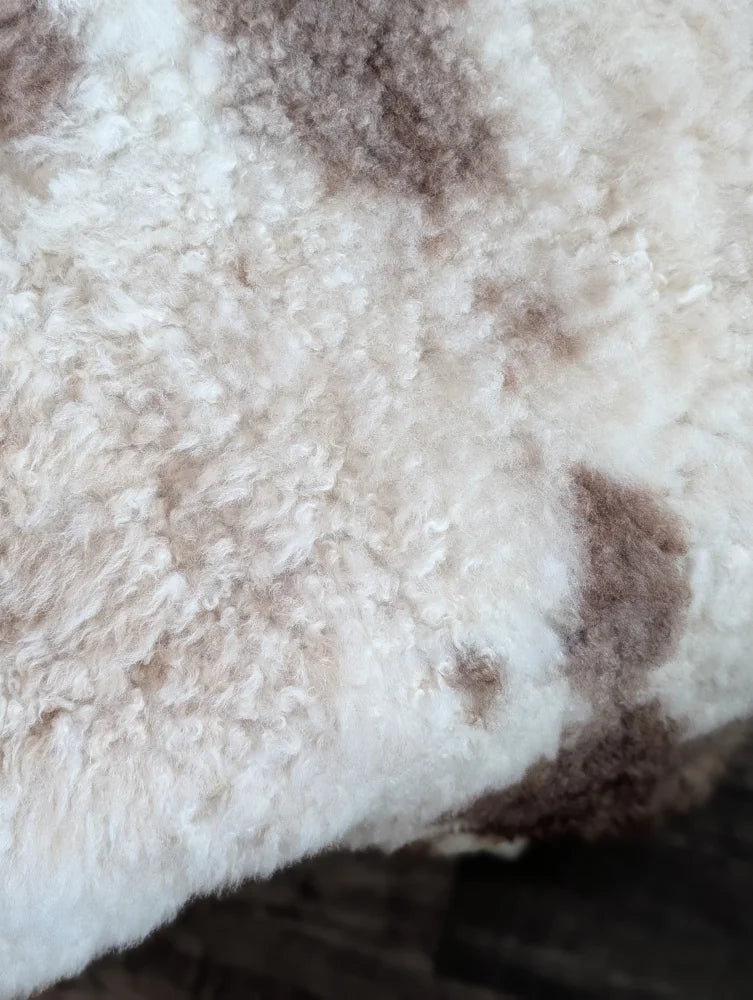 A cream highland spotted sheepskin rug with soft curly fibers and brown patches grade a tibet highland spotted