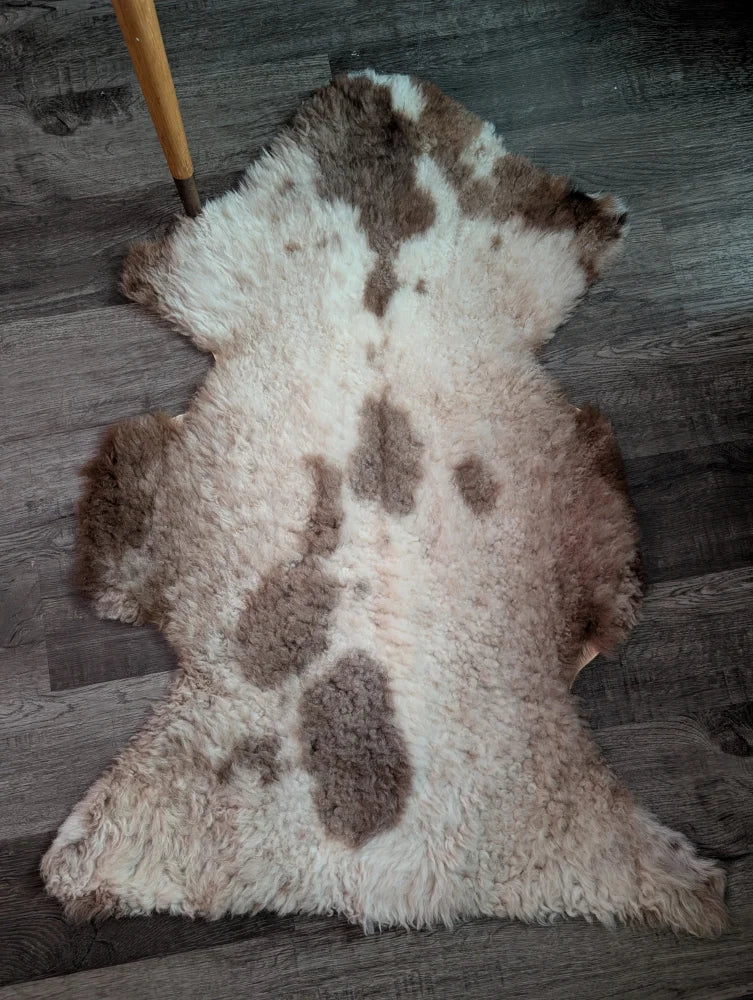 A plush grade a- sheepskin rug with a soft white base and brown splotches from tibet highland spotted collection