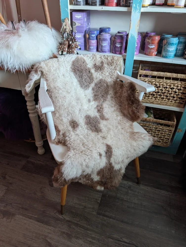 A cozy white and brown tibet highland spotted grade a- sheepskin rug draped over a vintage wooden chair