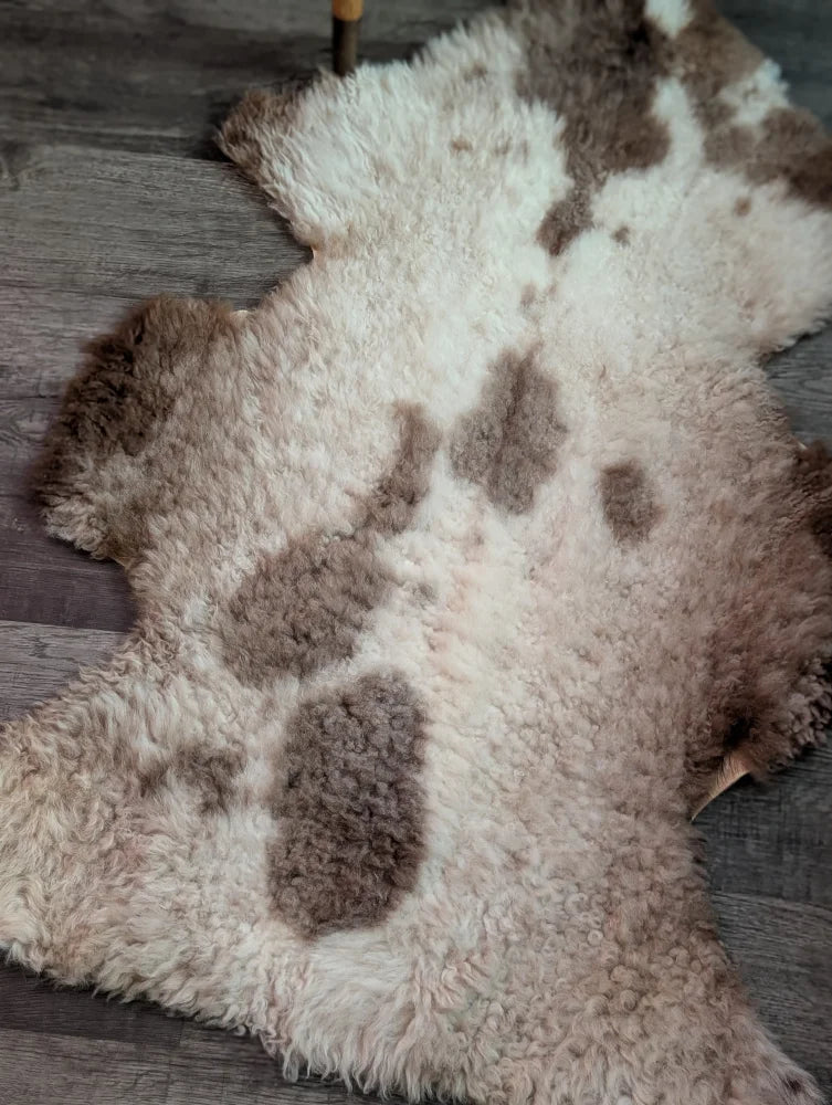 A plush grade a- sheepskin rug with soft white and brown fur in a natural tibet highland spotted pattern