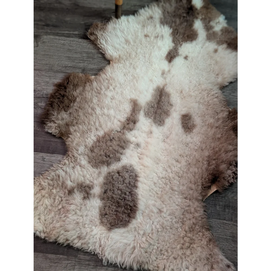 A plush grade a- sheepskin rug with soft white and brown fur in a natural tibet highland spotted pattern