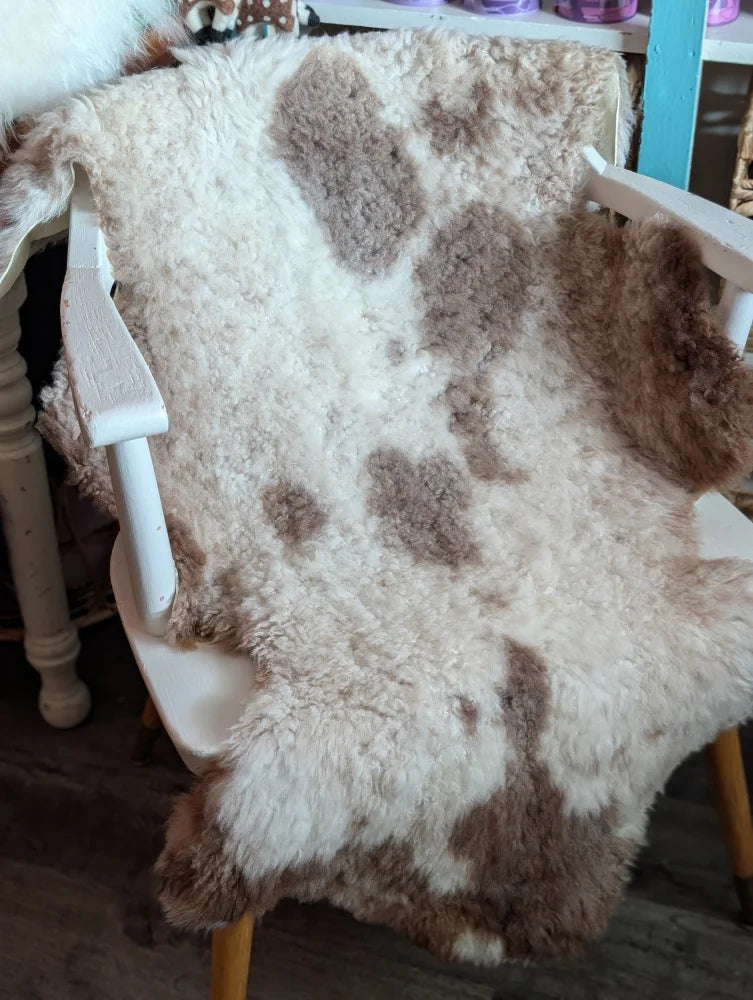A plush cream and brown tibet highland spotted grade a- sheepskin rug draped over a white wooden chair