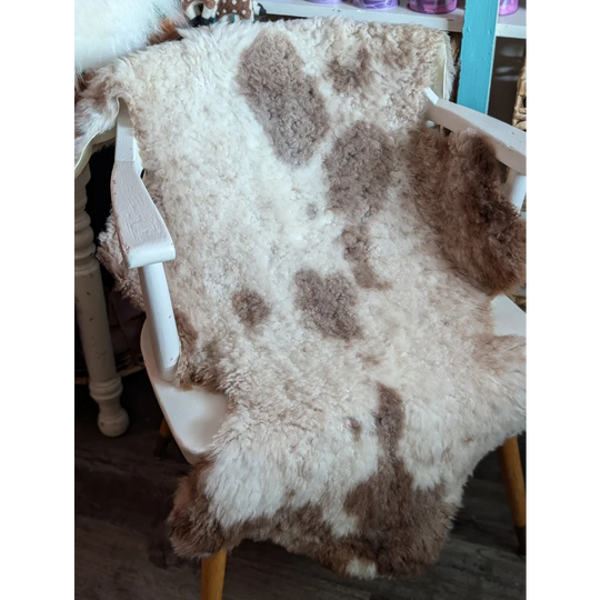 A plush cream and brown tibet highland spotted grade a- sheepskin rug draped over a white wooden chair