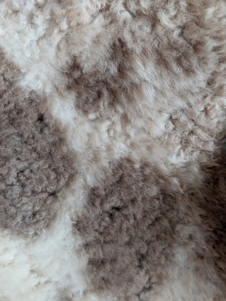 A plush tibet highland spotted grade a- sheepskin rug in natural cream and light brown tones with curly texture