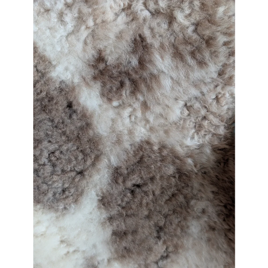 A plush tibet highland spotted grade a- sheepskin rug in natural cream and light brown tones with curly texture