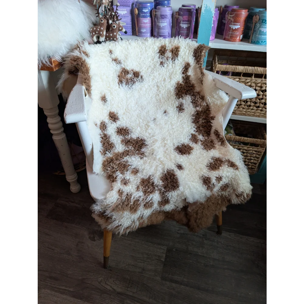 A plush white and brown tibet highland spotted grade a- sheepskin rug draped over a white wooden chair