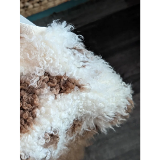 A fluffy white and brown tibet highland spotted dog on a soft grade a- sheepskin with curly textured coat
