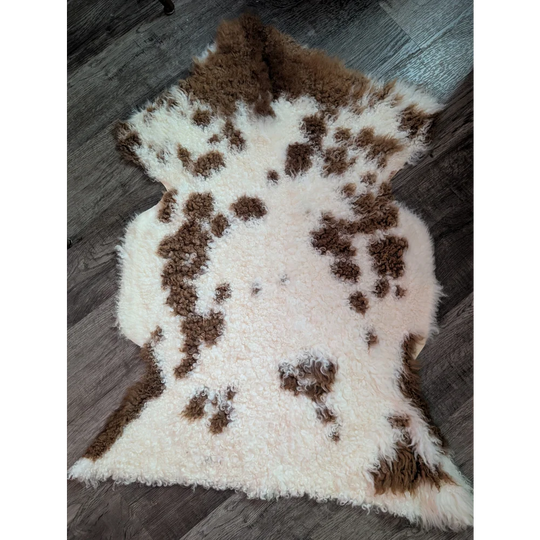 A plush irregular shaped tibet highland spotted grade a- sheepskin rug with natural white and brown spots