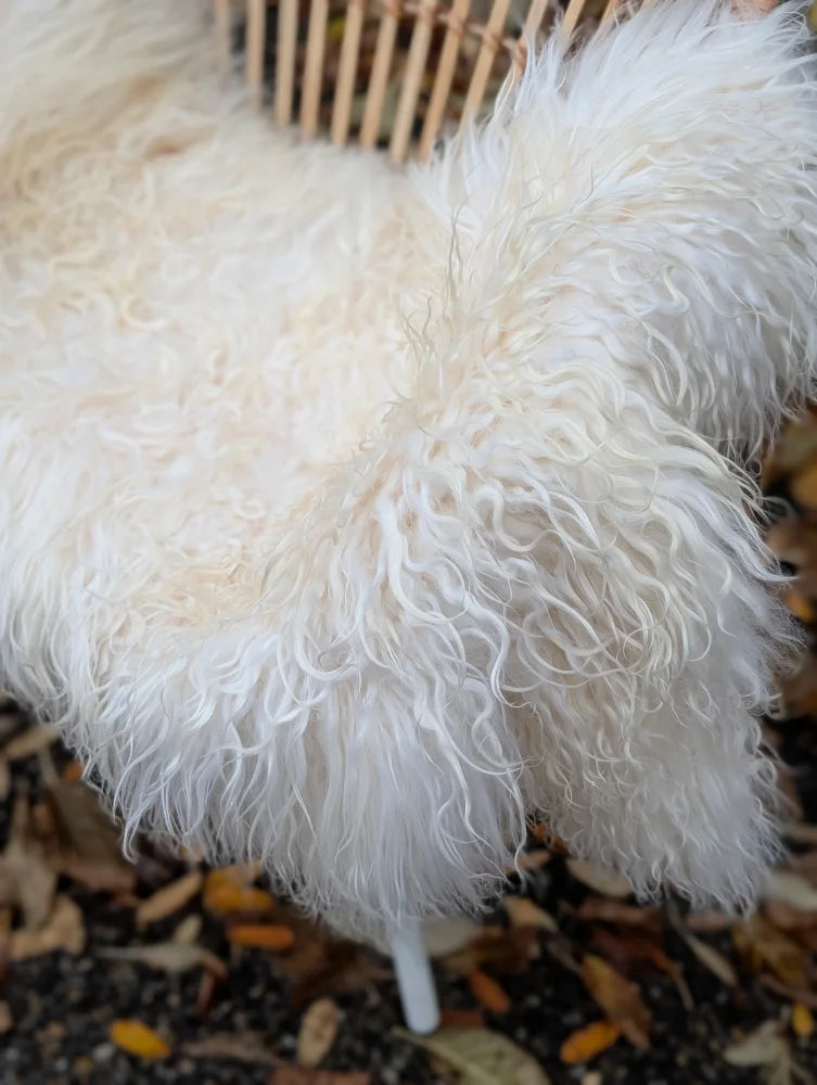 A plush natural white icelandic sheepskin throw with long wool fibers draped over a woven chair
