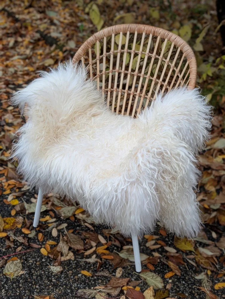 A plush natural white icelandic sheepskin long wool throw draped over a woven wicker chair with white metal legs