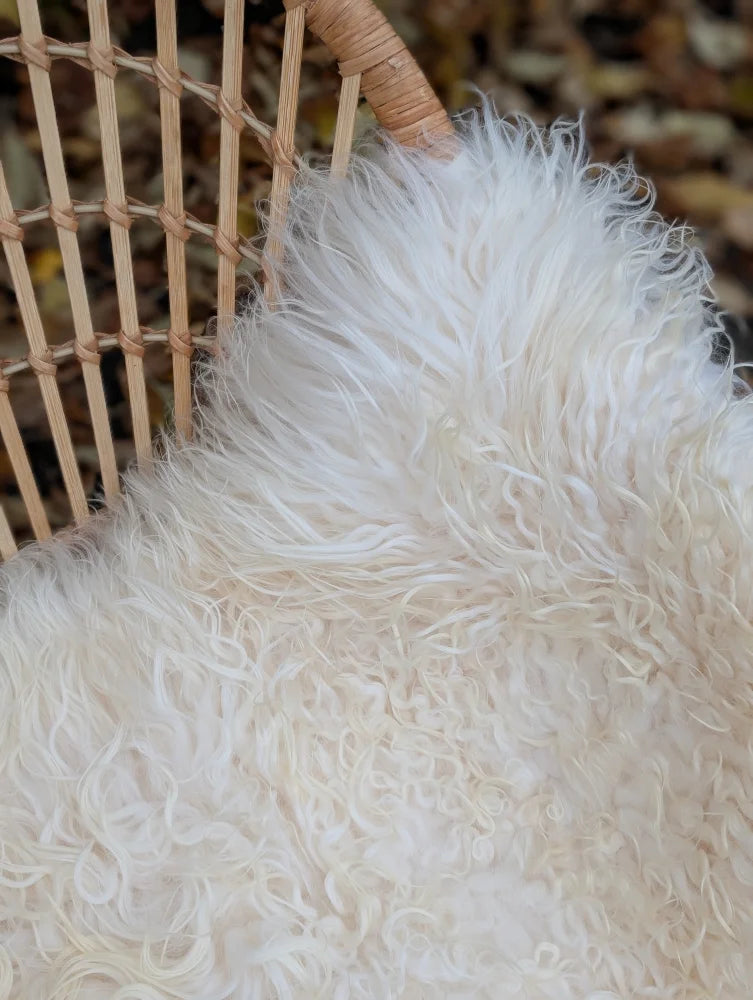 A plush natural white icelandic sheepskin throw with long wool fibers draped over a woven wicker chair