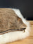 Faux fur throw pillow with brown and white fluffy cowhide merino sheepskin exterior and side zipper closure