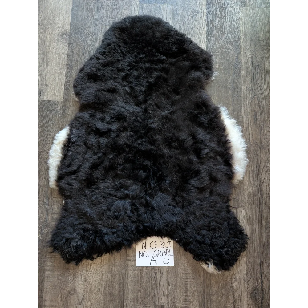 Black and white short wool standard grade white icelandic sheepskin rug with plush curly texture