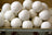 White fluffy wool dryer balls nestled in a vintage suitcase from 3 wool dryer balls wht gry brn set