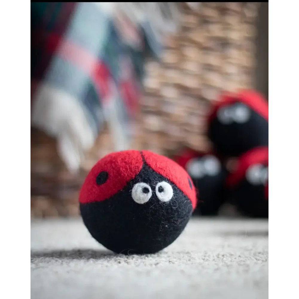 Cute felt ladybug dryer ball with googly eyes and red shell on black body