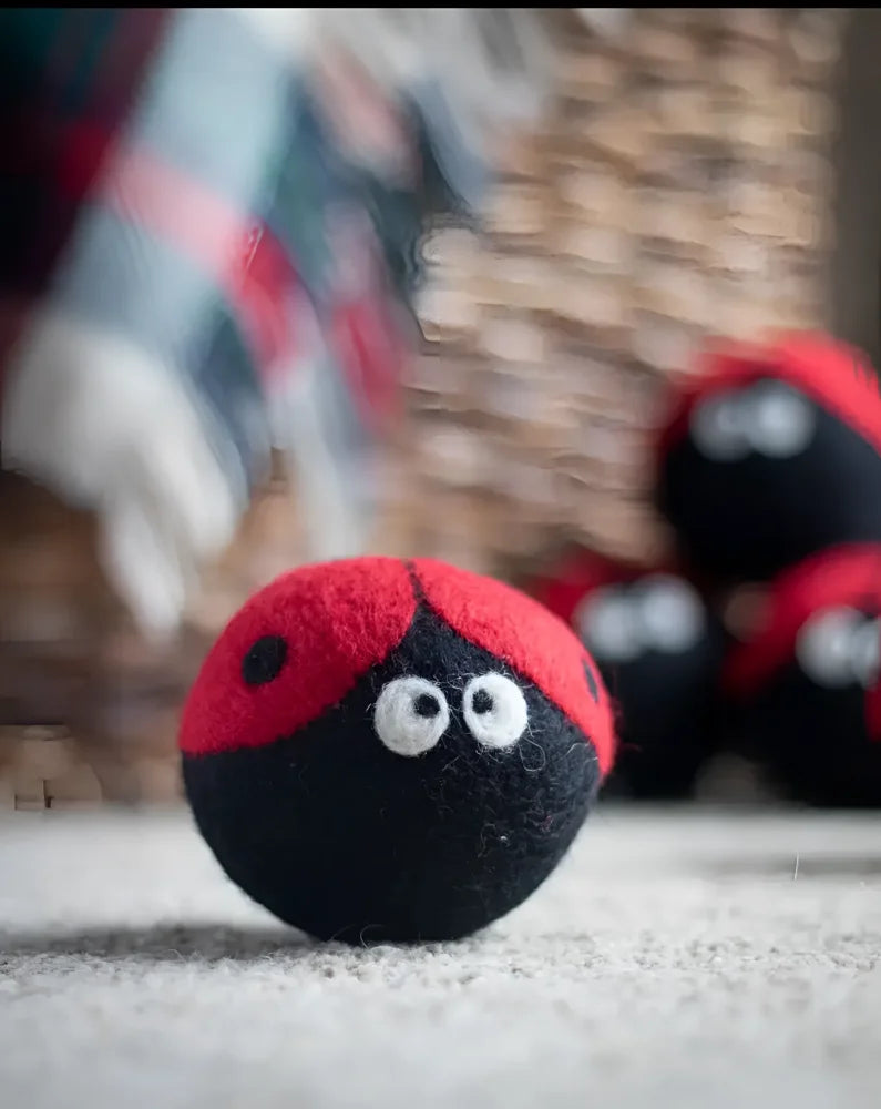 Cute felt ladybug dryer ball with googly eyes and red shell on black body