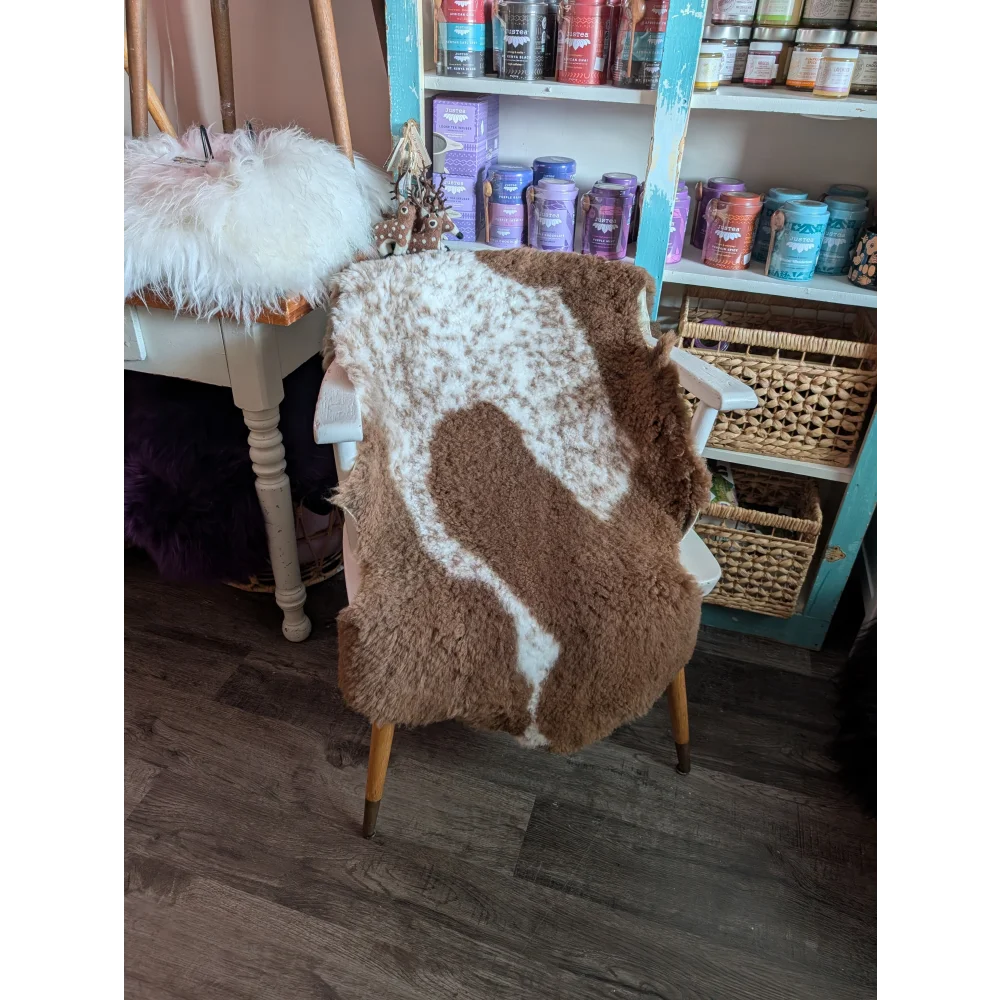 Brown and white tibet highland spotted grade a- sheepskin rug draped over a chair for cozy decor