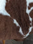 A plush brown and white highland spotted grade b sheepskin blanket with a soft fuzzy texture perfect for cozy use