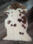 A plush cream-colored tibet highland spotted grade a- sheepskin rug with soft fluffy texture and brown patches