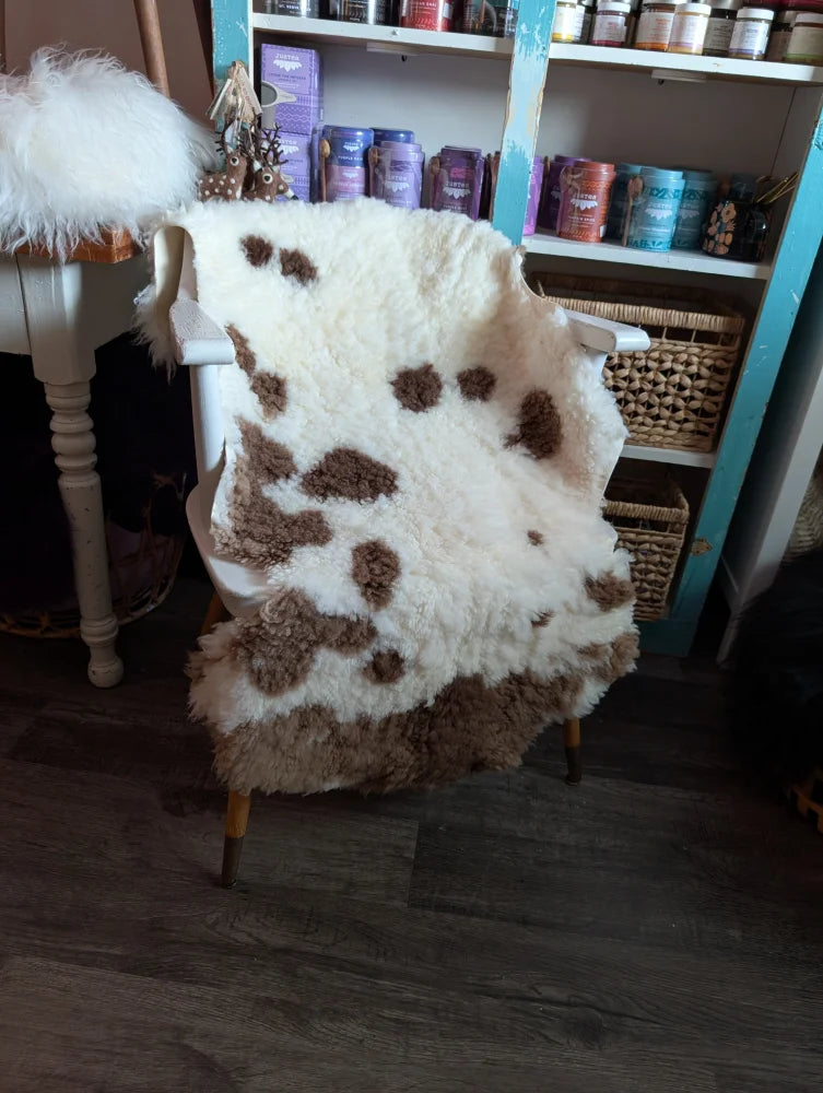 A plush white and brown tibet highland spotted grade a- sheepskin rug draped over a chair