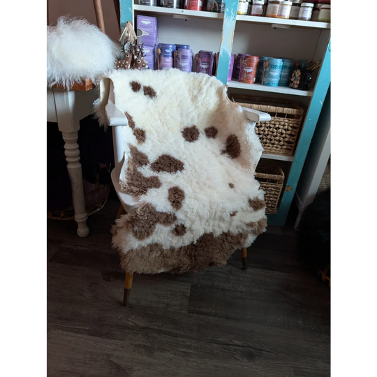 A plush white and brown tibet highland spotted grade a- sheepskin rug draped over a chair
