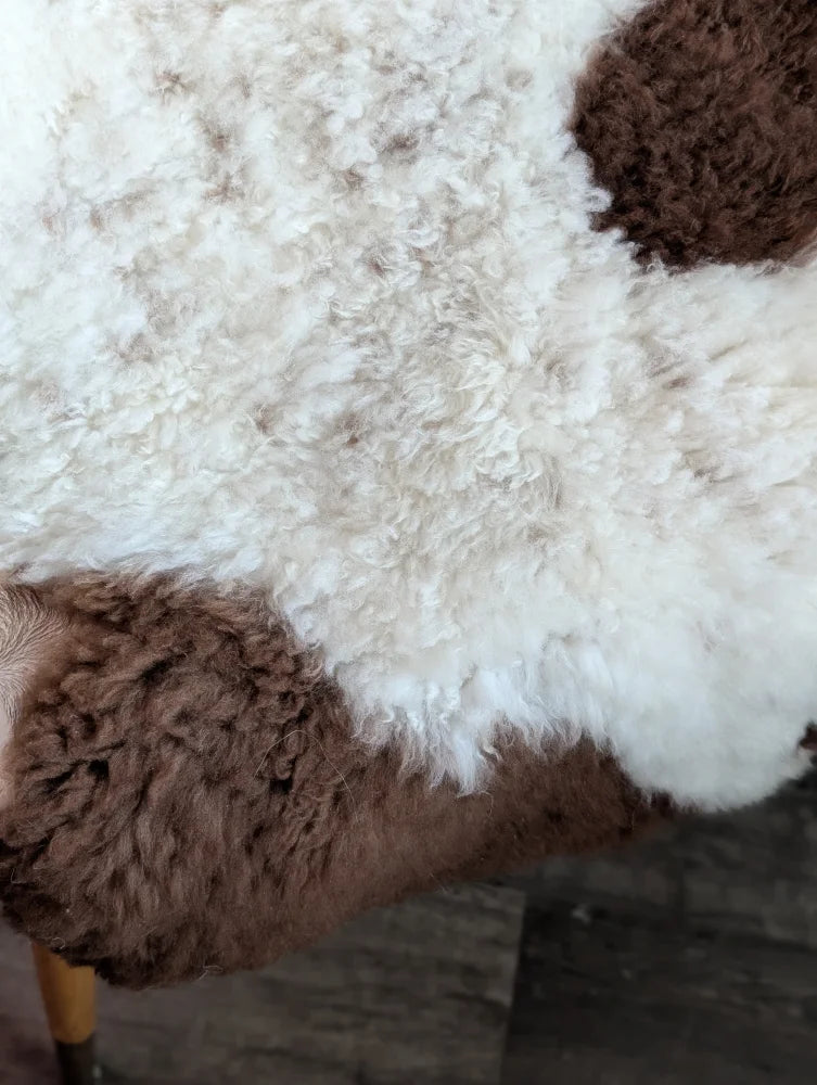 A plush curly white and brown tibet highland spotted grade a- sheepskin rug with soft fluffy texture