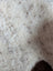 A plush off-white tibet highland spotted grade a- sheepskin rug with soft curly fibers and subtle brown speckles