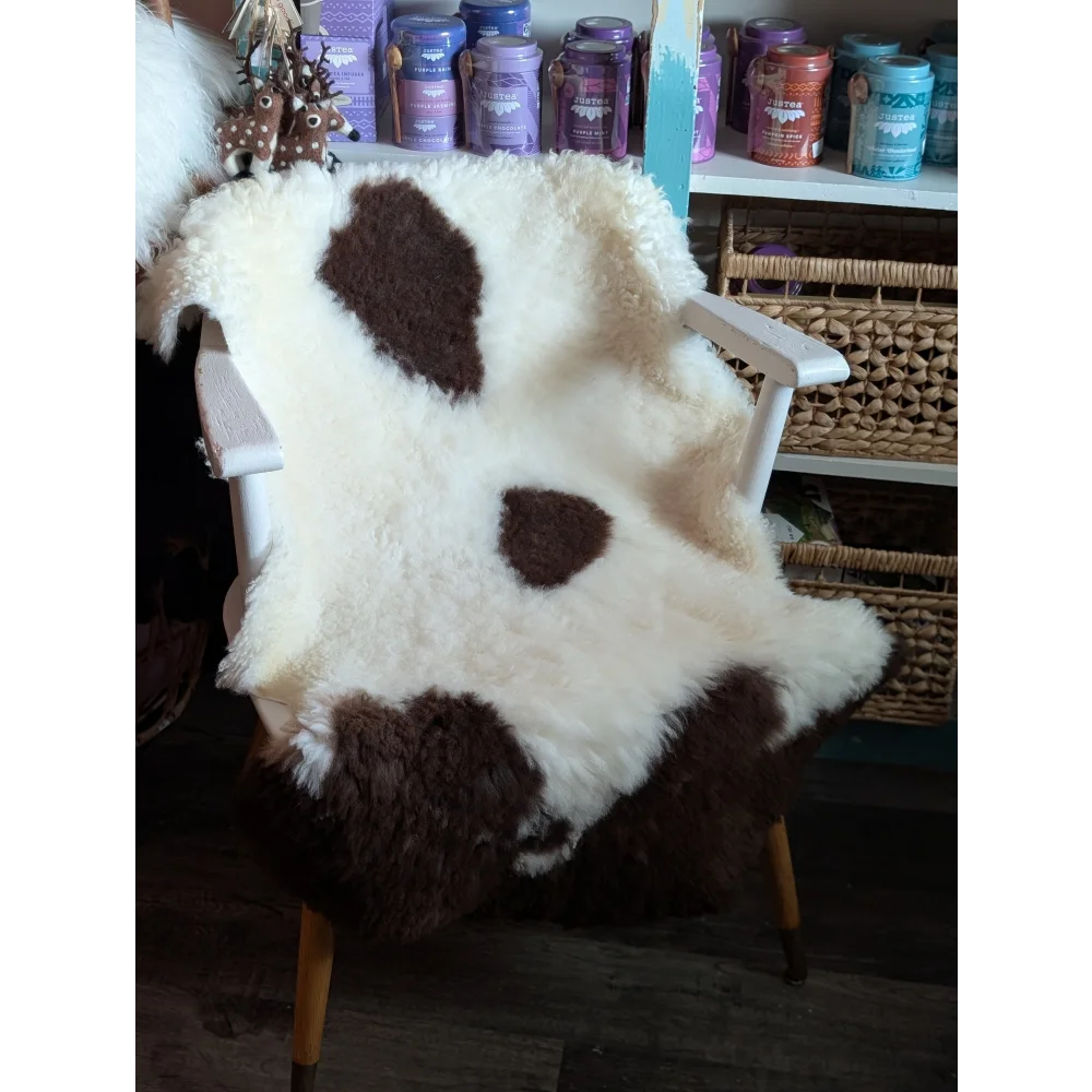 A plush white and brown highland spotted grade a- sheepskin rug draped over a wooden chair from tibet highland spotted
