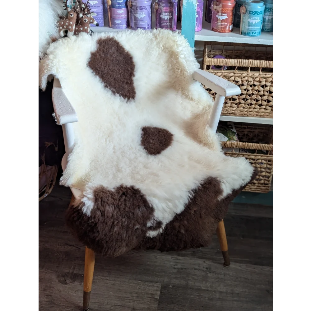 A plush white and brown tibet highland spotted grade a- sheepskin rug draped over a chair