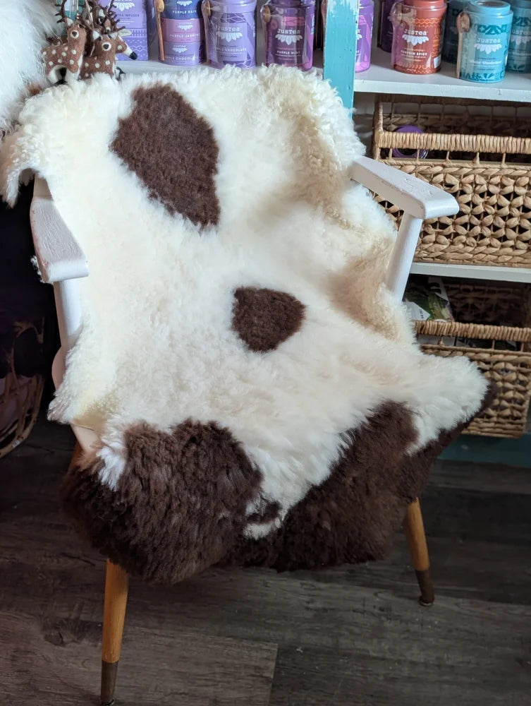 A plush white and brown tibet highland spotted grade a- sheepskin rug draped over a chair