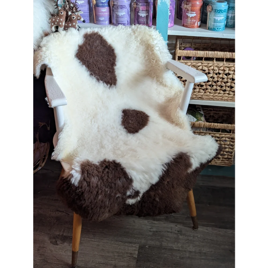 A plush white and brown tibet highland spotted grade a- sheepskin rug draped over a chair