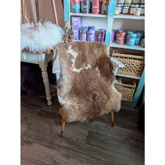 A cozy brown and white tibet highland spotted grade a- sheepskin rug draped over a vintage chair with wooden legs